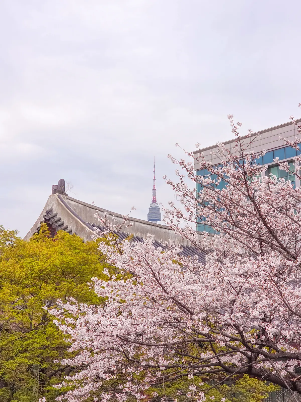 Spring Excursion 2025 23