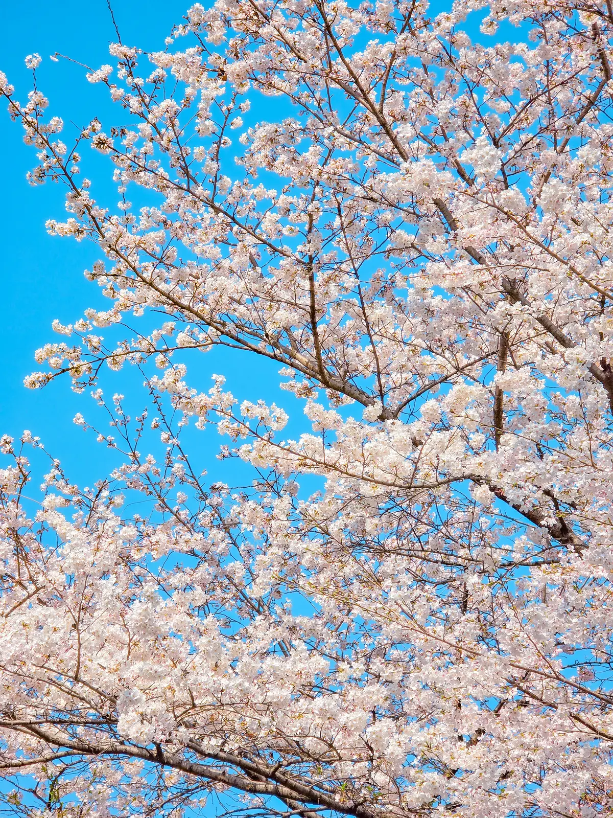 Spring Excursion 2025 24