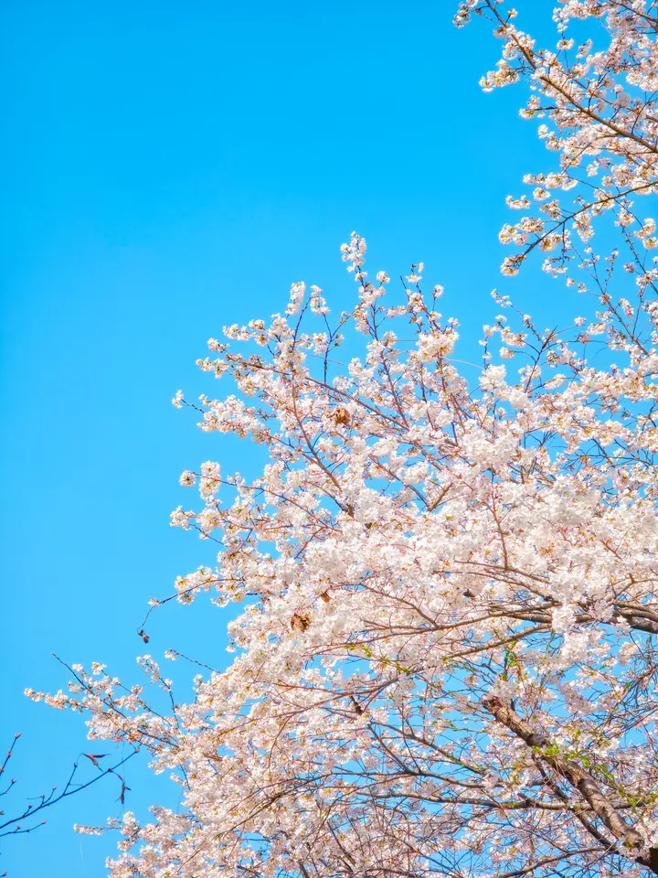 Spring Excursion 2025