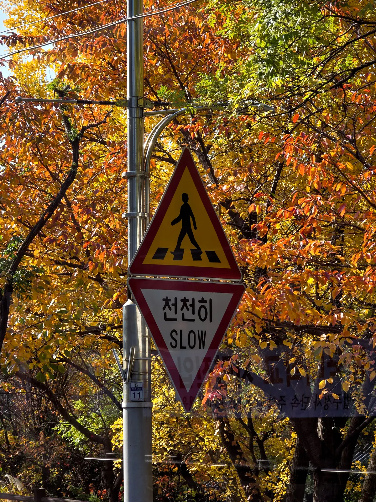 Autumn Excursion 2025 4