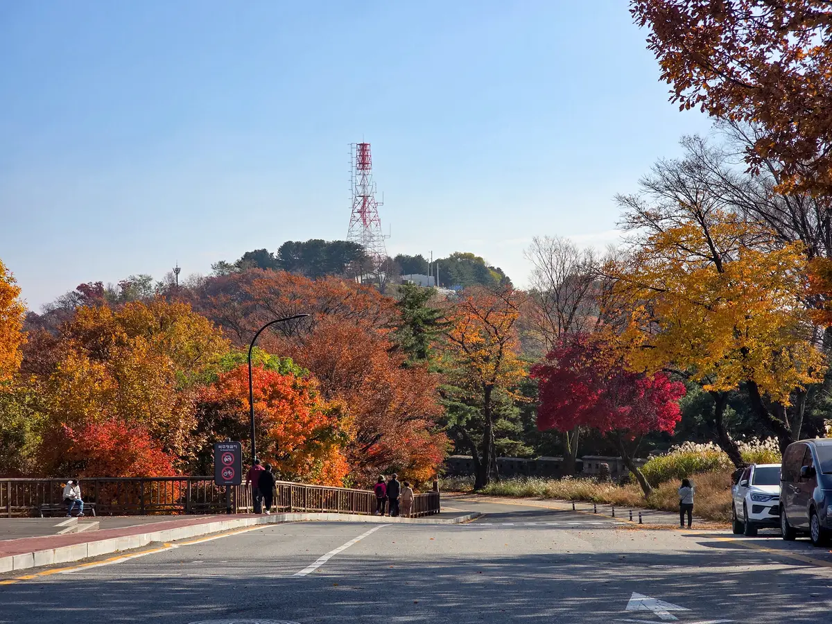 Autumn Excursion 2025 6