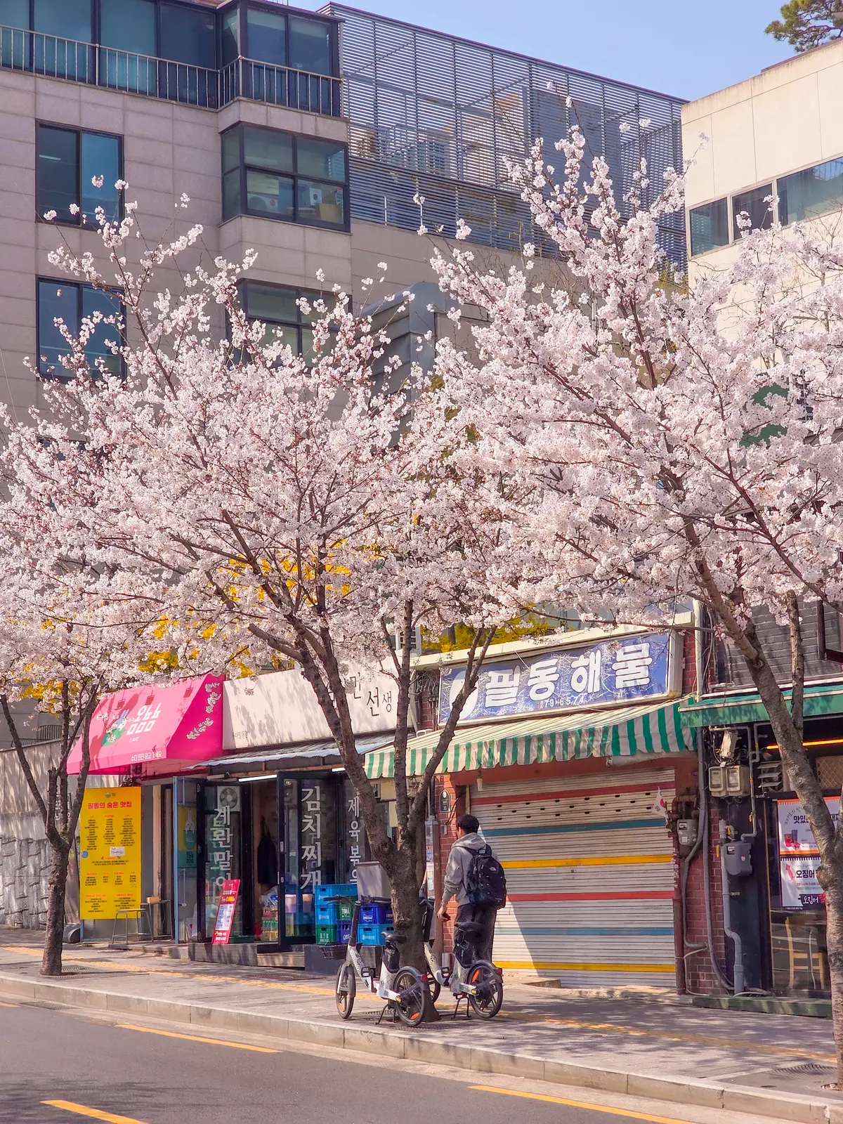Spring Excursion 2026 11