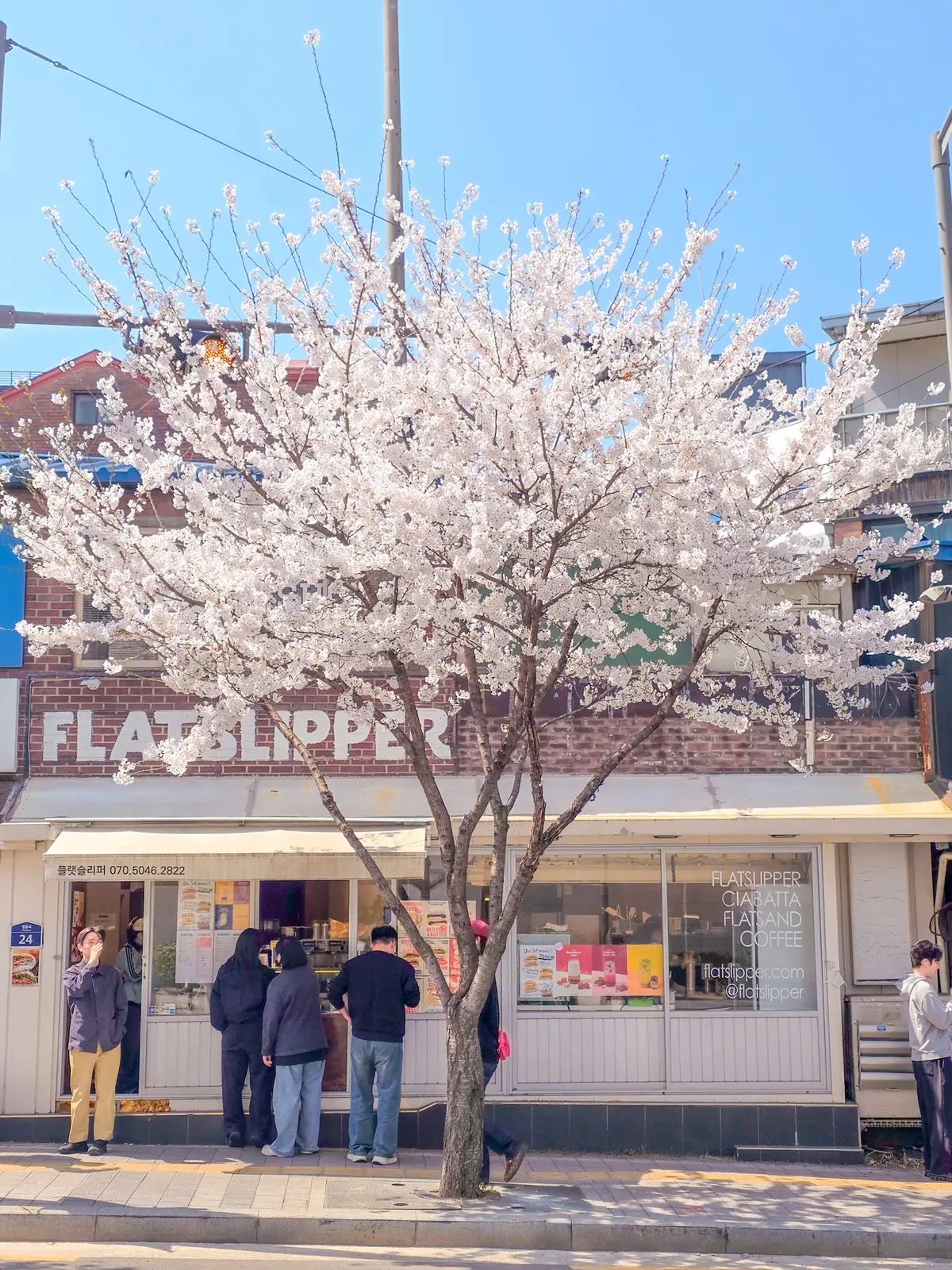Spring Excursion 2026 14